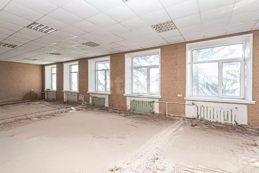 Офис в Новосибирская область, Искитим Молдавская ул., 48 (142 м) - Фото 2