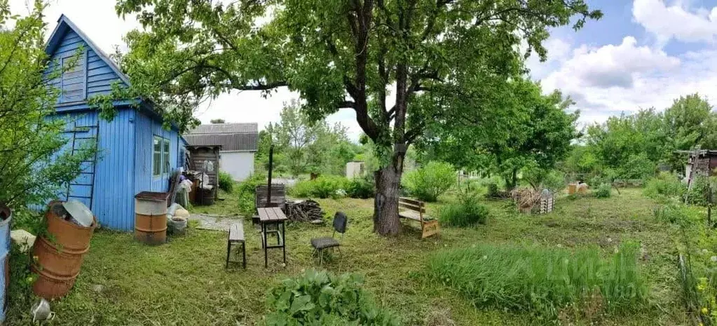 Участок в Хабаровский край, Хабаровский район, Кооператор-2 СНТ  (8.24 ... - Фото 1