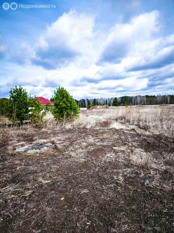 Участок в Красноярский край, Емельяновский муниципальный округ, ... - Фото 1