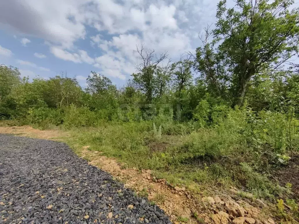Участок в Ростовская область, Родионово-Несветайский район, ... - Фото 1