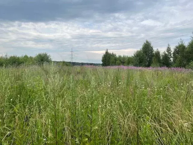 Купить Землю В Дмитровском Районе Ижс