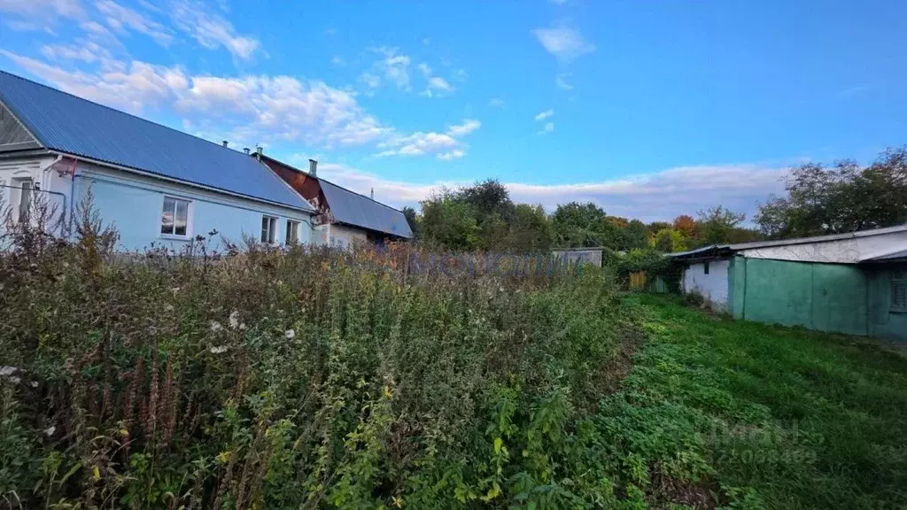 Участок в Нижегородская область, Богородский муниципальный округ, с. ... - Фото 0