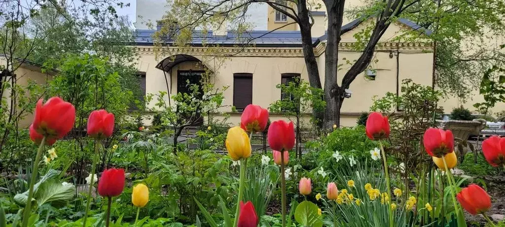 2-к кв. Санкт-Петербург Офицерский пер., 7Б (37.0 м) - Фото 0