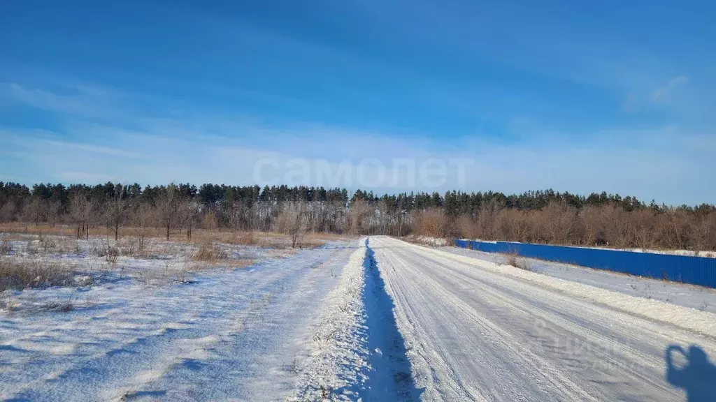 Участок в Оренбургская область, Оренбургский район, Южноуральский ... - Фото 2