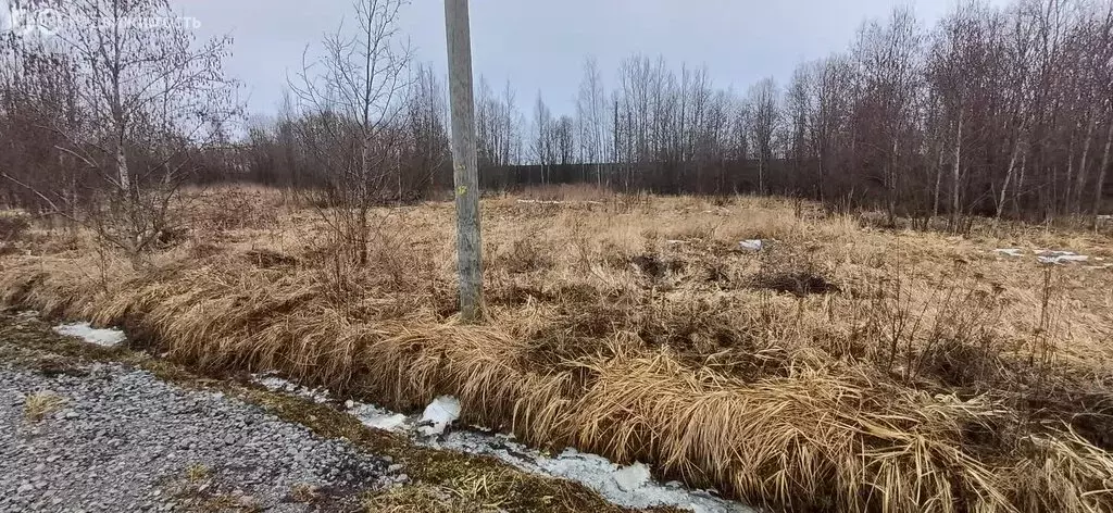 Участок в Вологодская область, Шекснинский муниципальный округ, ... - Фото 2