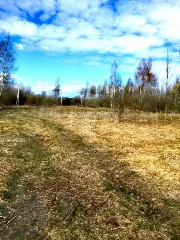 Участок 6,3 сот. (ИЖС) - Фото 0