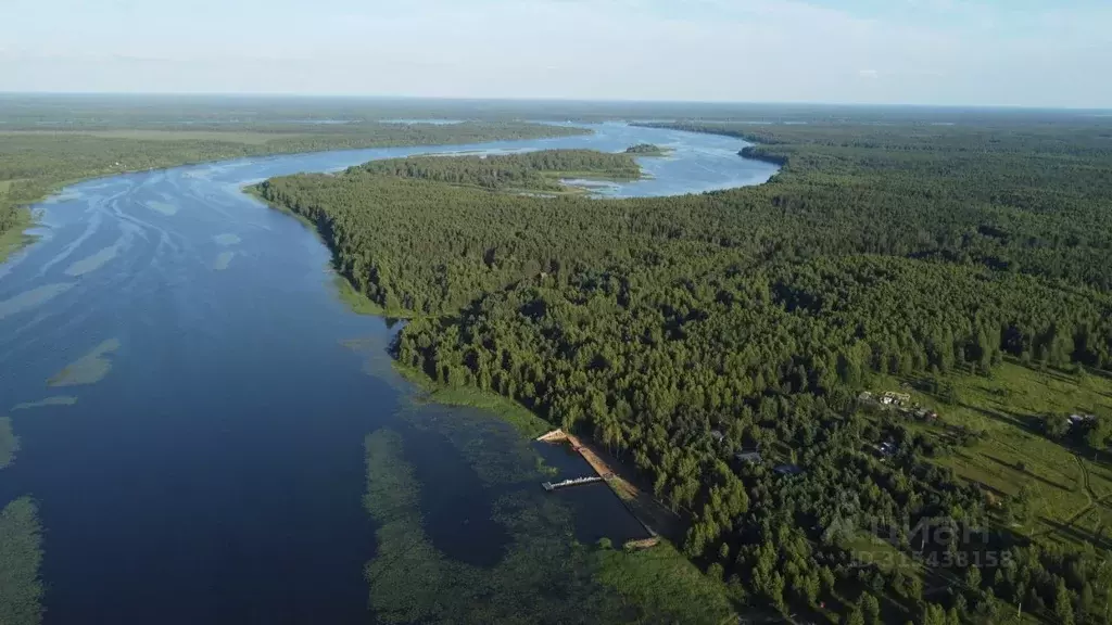 Участок в Тверская область, Кимрский муниципальный округ, д. Чупеево  ... - Фото 1