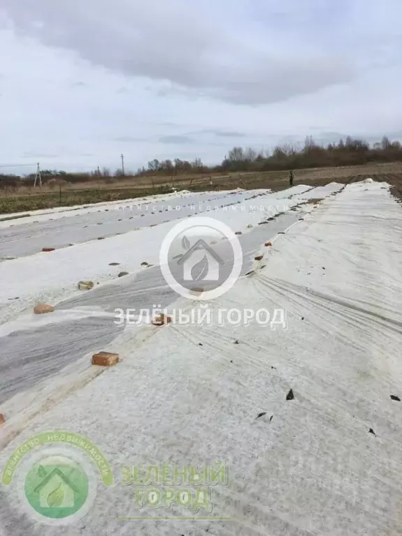Дом в Калининградская область, Полесский муниципальный округ, пос. ... - Фото 1