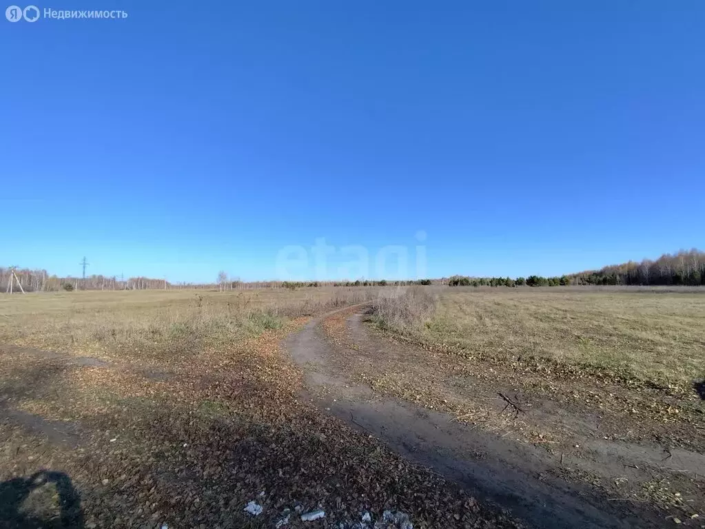 Участок в Курганская область, Кетовский муниципальный округ, ... - Фото 1