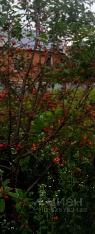 Участок в Орловская область, Орловский муниципальный округ, пос. ... - Фото 2