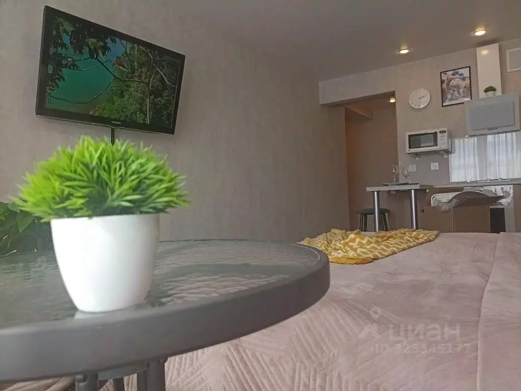 1-к кв. Ивановская область, Иваново Видный мкр, 4 (30.0 м) - Фото 2