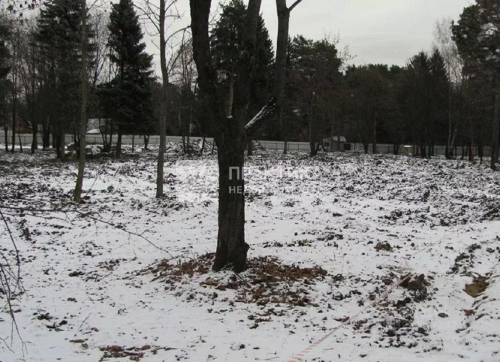 Продается участок в г. Дедовск - Фото 1