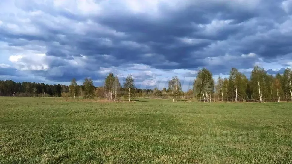 участок в тюменская область, нижнетавдинский район, с. тюнево (10.0 . - Фото 0