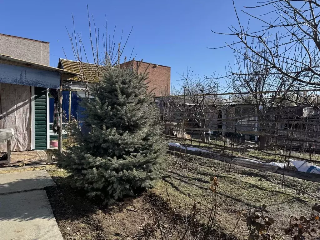 Дом в Астраханская область, Астрахань Мукачевская ул., 20А (38 м) - Фото 1