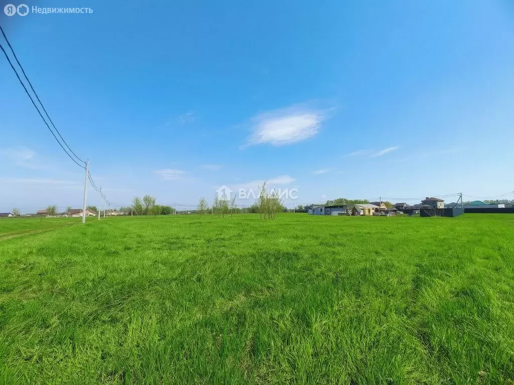 Участок в Московская область, городской округ Коломна, деревня ... - Фото 2