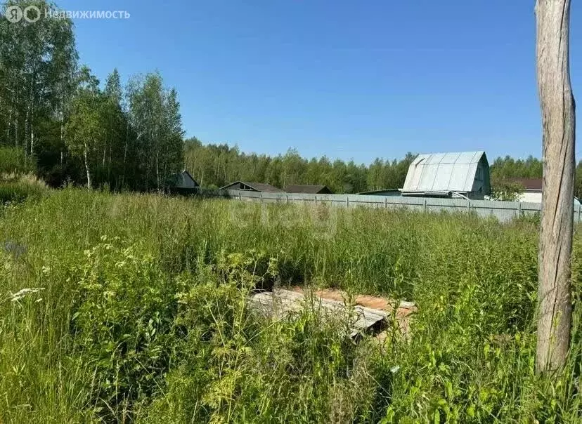 Участок в Ярославский муниципальный округ, СНТ Росток (20 м) - Фото 2