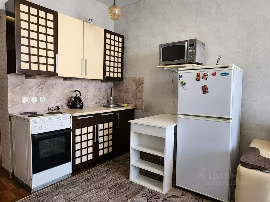 Студия Красноярский край, Красноярск ул. Карамзина, 16 (22.3 м) - Фото 1