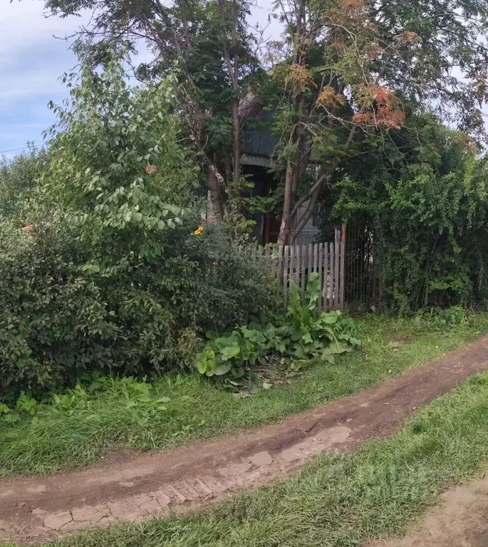 Дом в Омская область, Таврический район, Озерное СНТ  (32 м) - Фото 2
