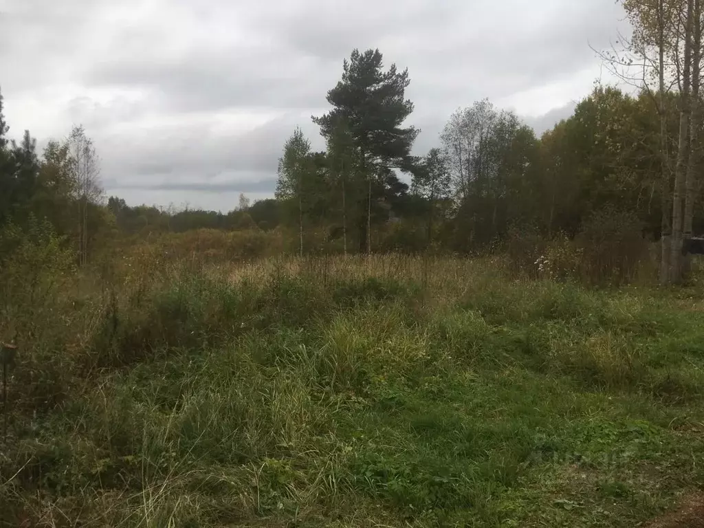 Участок в Новгородская область, Валдай Санкт-Петербургская ул. (9.0 ... - Фото 2