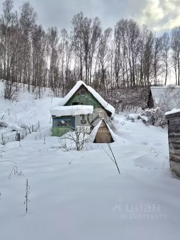 Участок в Новосибирская область, Новосибирский район, Плотниковский ... - Фото 1