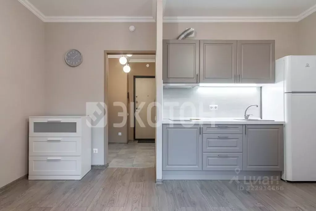 Студия Санкт-Петербург ул. Грибалевой, 7к3 (31.0 м) - Фото 1