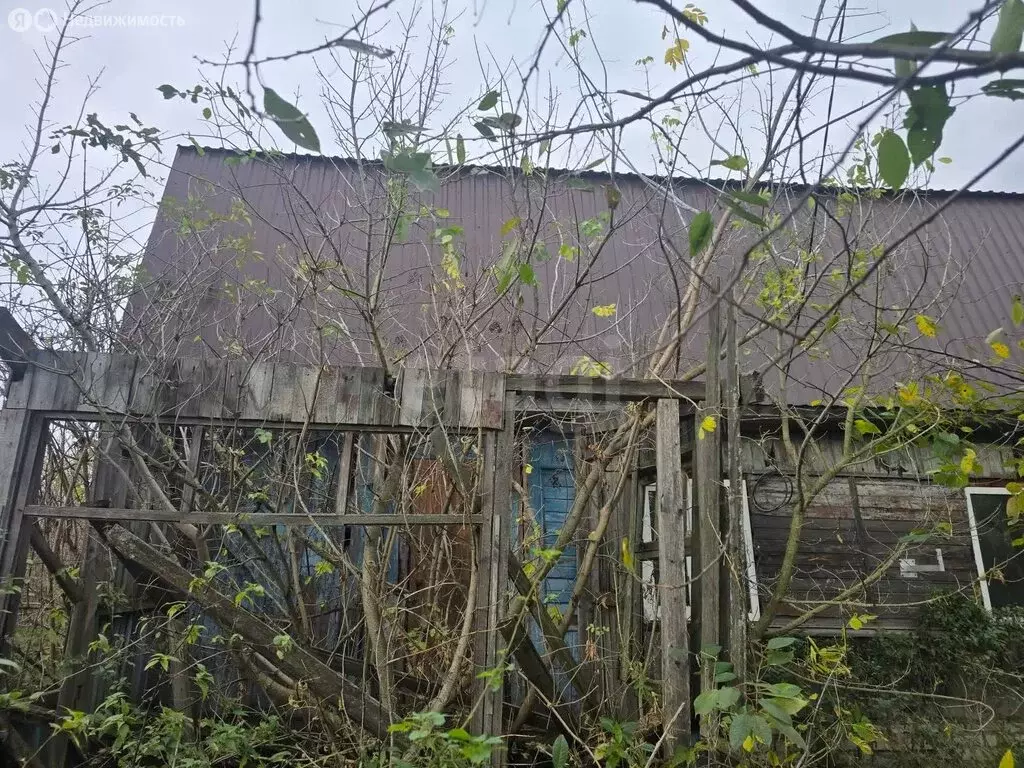 Дом в Городец, Советская улица (41.1 м) - Фото 2