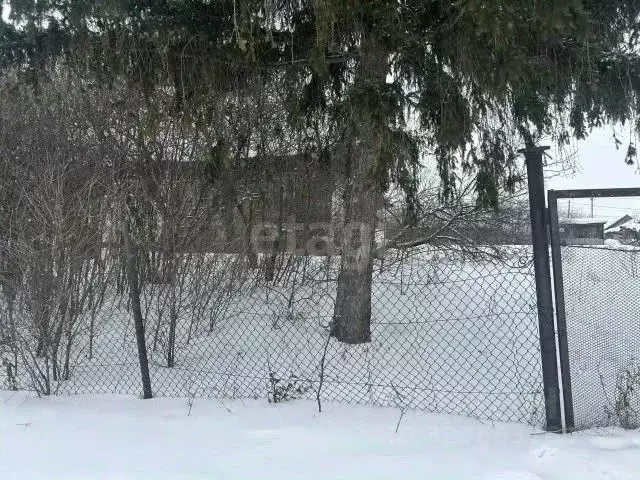 Дом в Башкортостан, Иглинский сельсовет, с. Иглино ул. Береговая, 9 ... - Фото 2