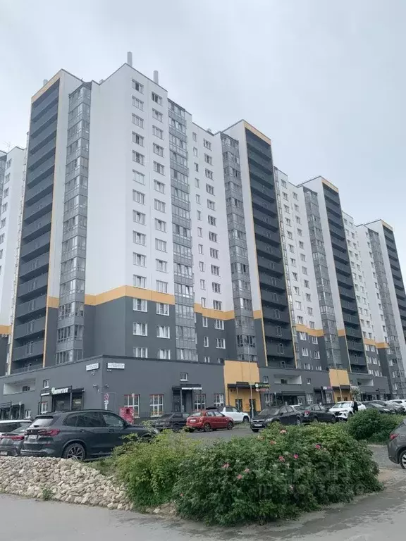 Студия Ленинградская область, Ломоносовский район, Виллозское ... - Фото 0