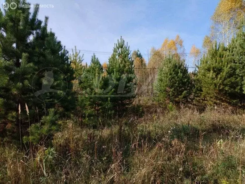 Участок в Нижнетавдинский район, садовые участки Боярский двор (10 м) - Фото 1