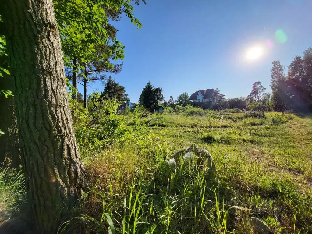 Участок в Санкт-Петербург, Санкт-Петербург, Петергоф Знаменка тер.,  ... - Фото 1