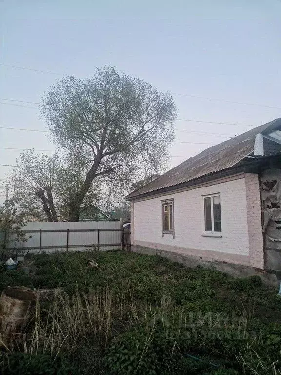 Дом в Омская область, Омск ул. 6-я Кировская, 92 (123 м) - Фото 1