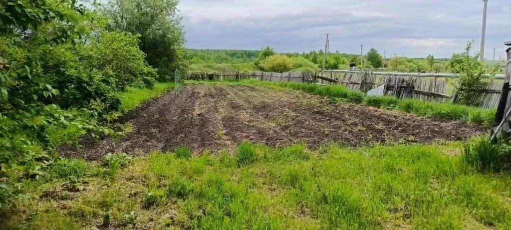 Участок в Амурская область, Белогорский муниципальный округ, с. ... - Фото 1