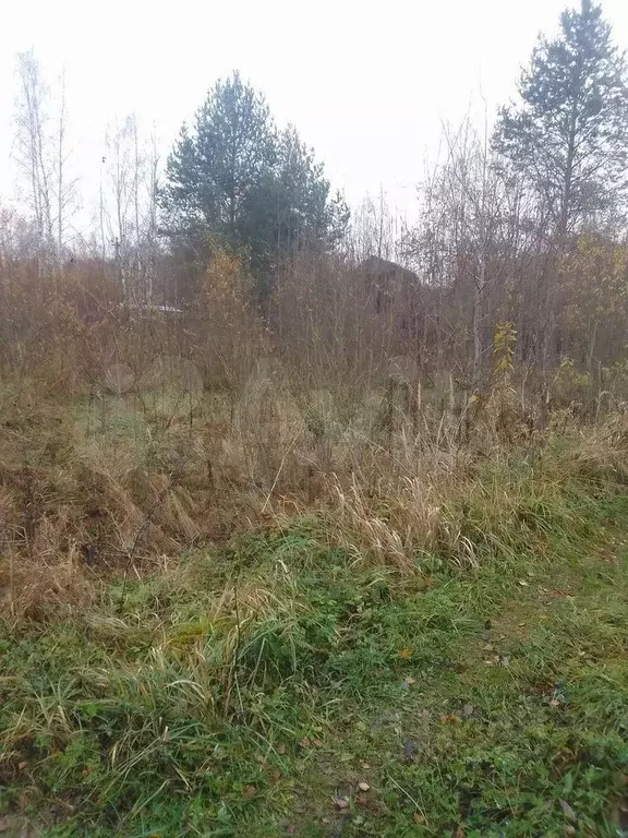 Участок в Тверская область, Конаковский муниципальный округ, Козлово ... - Фото 0