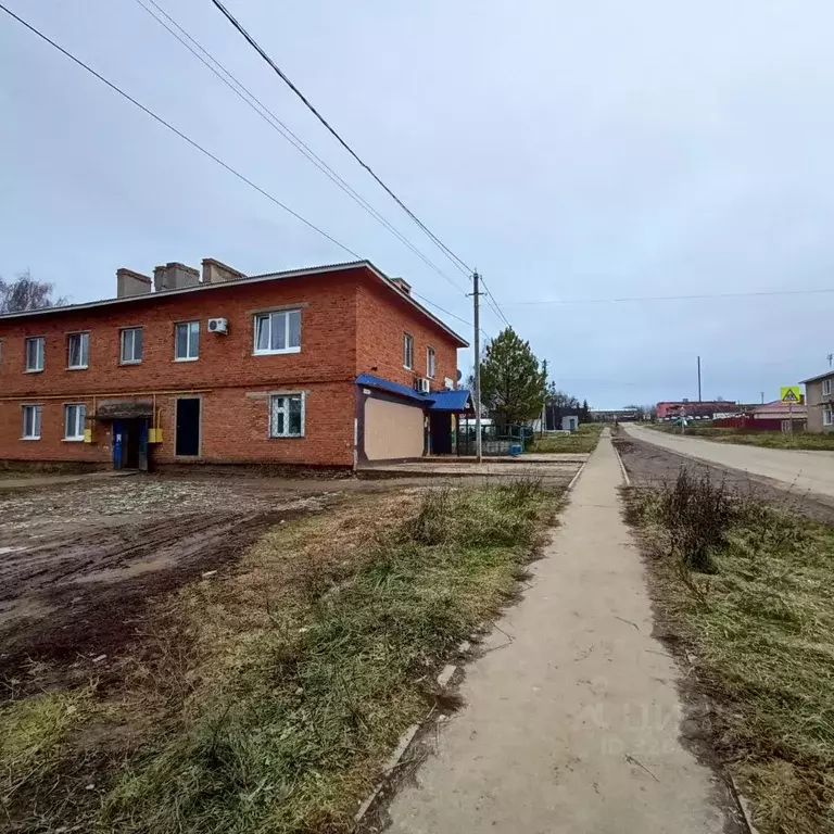 Торговая площадь в Удмуртия, Сарапульский район, с. Нечкино Рабочая ... - Фото 2