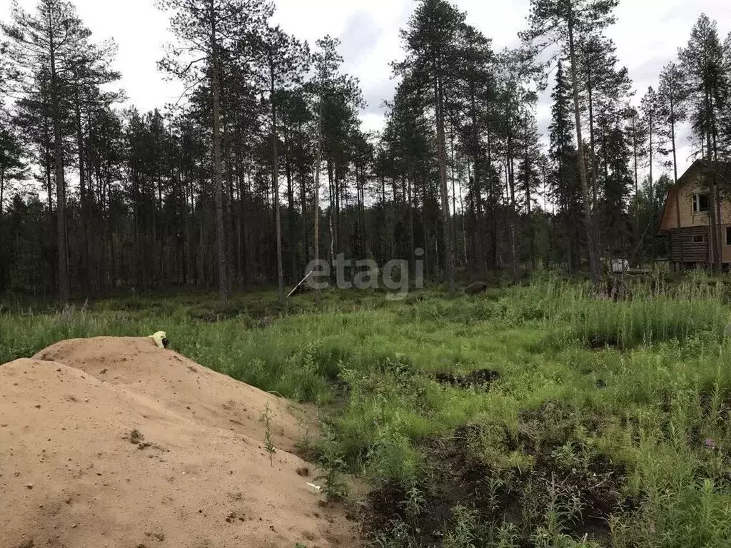 Участок в Республика Коми, муниципальный район Корткеросский, ... - Фото 1