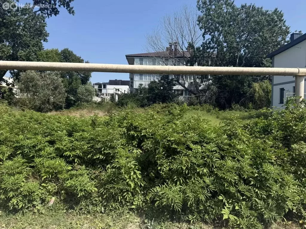 Участок в село Мысхако, Берёзовая улица, 2 (7 м) - Фото 2