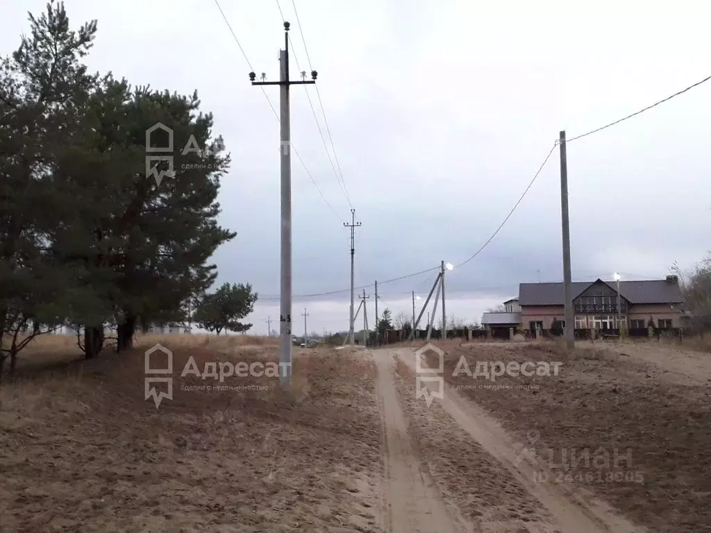 Участок в Волгоградская область, Городищенский район, Паньшинское ... - Фото 1