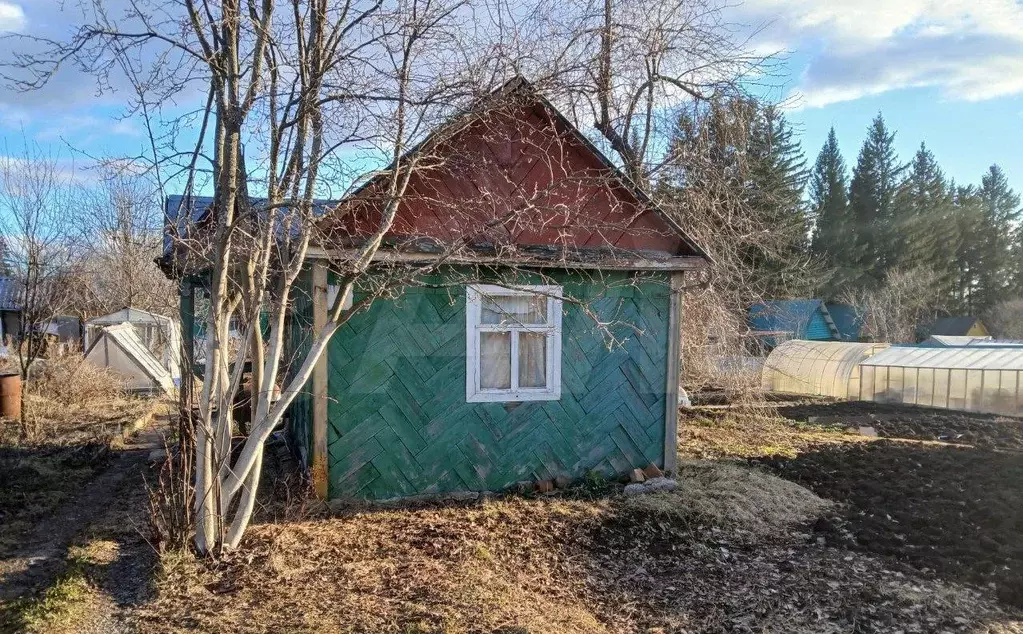 Участок 4,7 сот. (СНТ, ДНП) - Фото 1