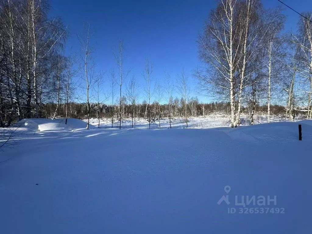 Участок в Московская область, Богородский городской округ, с. ... - Фото 2