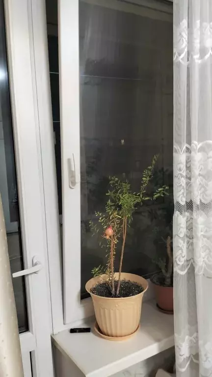 Продаётся 2-к квартира, 53 м - Фото 1