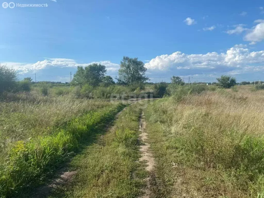 Участок в деревня Кайбалы, Муслинская улица (10 м) - Фото 1