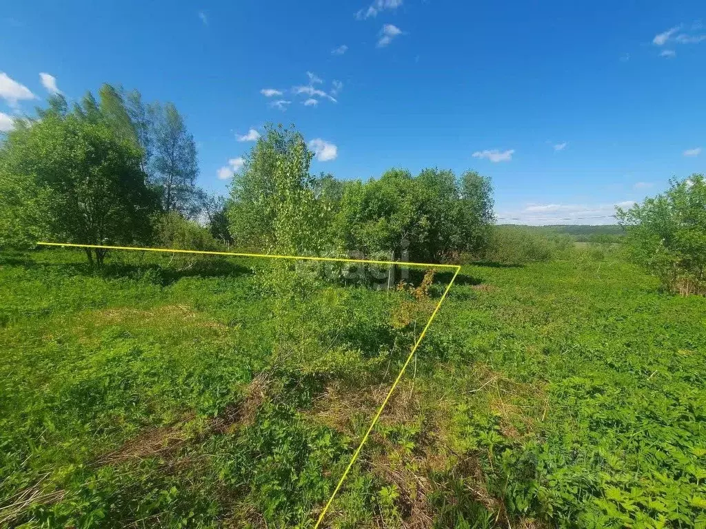 Участок в Калужская область, Калуга городской округ, с. Шахты 31 (6.6 ... - Фото 0