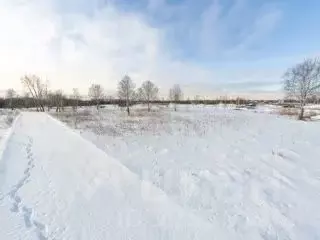 Участок в Тюменская область, Тюмень  (11.66 сот.) - Фото 1