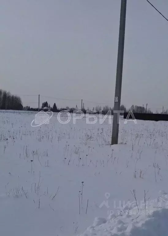Участок в Тюменская область, Тюменский район, д. Марай  (8.0 сот.) - Фото 1
