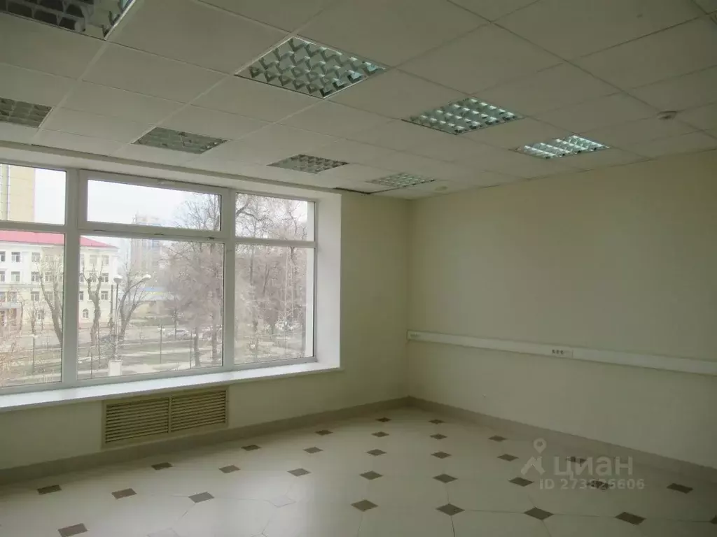 Офис в Воронежская область, Воронеж ул. Свободы, 69А (34 м) - Фото 0
