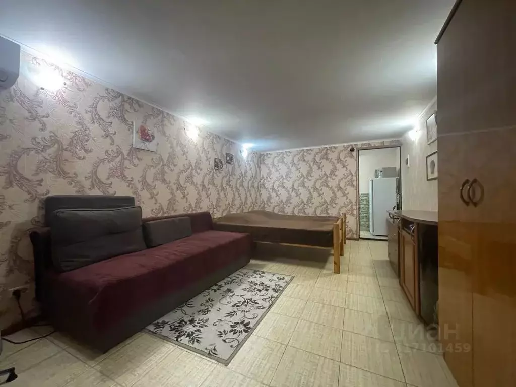 Студия Краснодарский край, Сочи ул. Яна Фабрициуса, 4/1 (26.0 м) - Фото 1