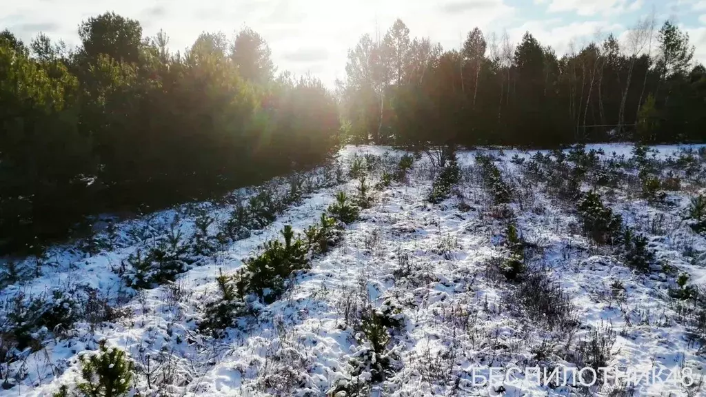 Участок в Липецкая область, Добровский муниципальный округ, с. ... - Фото 2