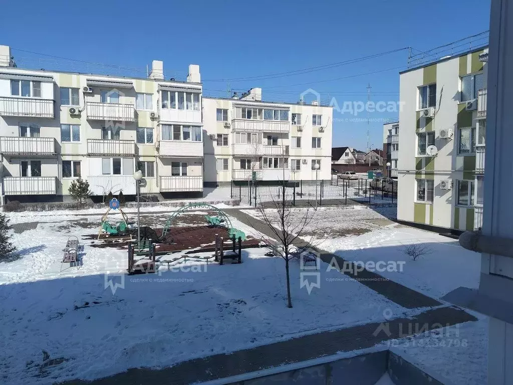 1-к кв. Волгоградская область, Волгоград ул. Добрушина, 30 (36.6 м) - Фото 1