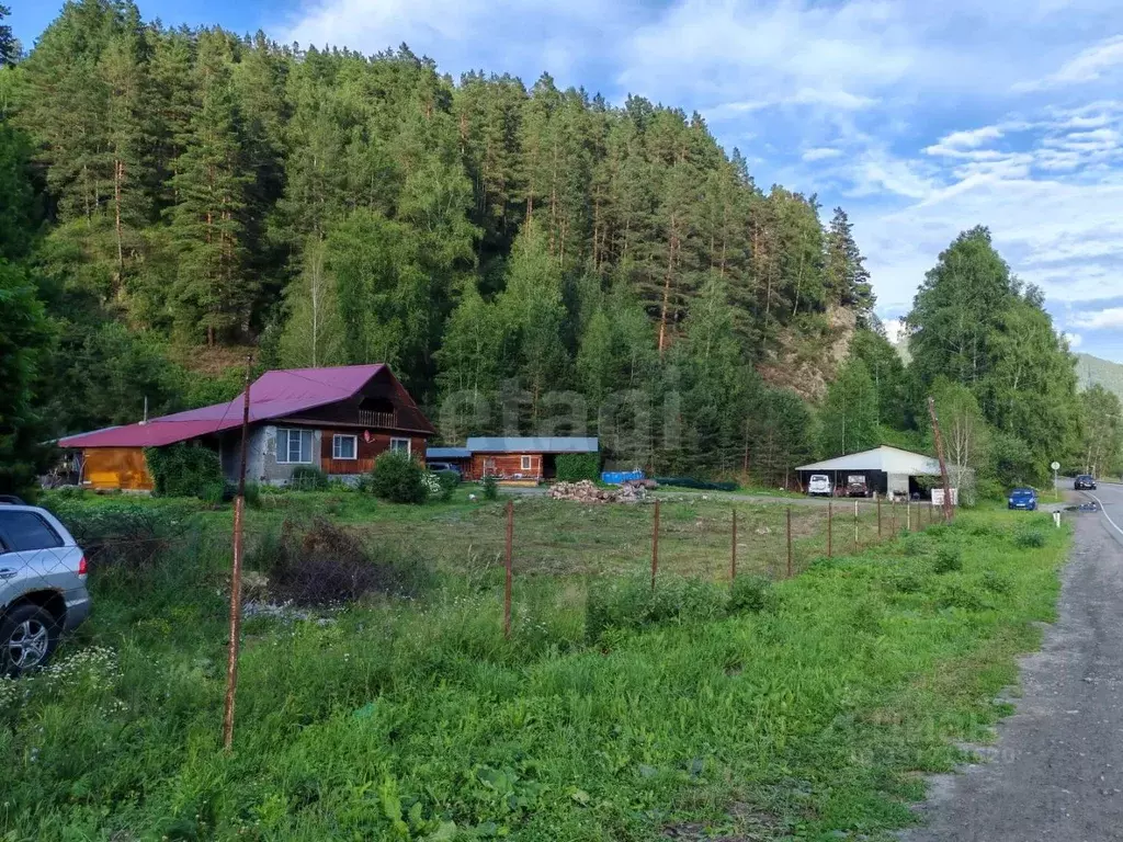Участок в Алтай, Майминский район Р-256 Чуйский тракт, 487-й км (12.35 ... - Фото 1