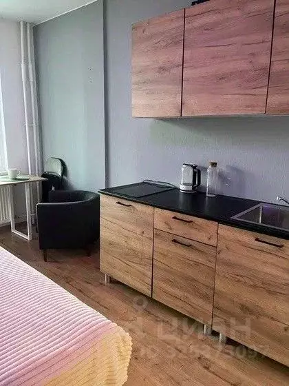 Студия Санкт-Петербург бул. Александра Грина, 3 (25.0 м) - Фото 1